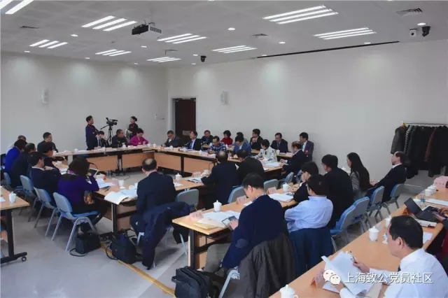 履职风采-致公党界别所在的小组讨论会